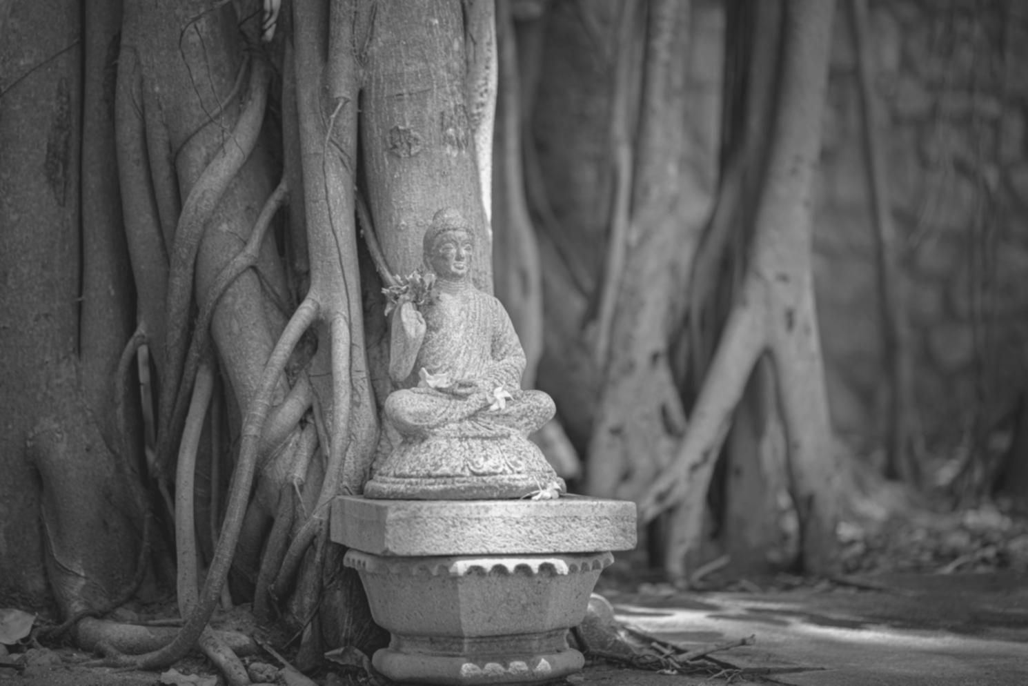 Desarrollo de secuencias personalizadas avanzadas